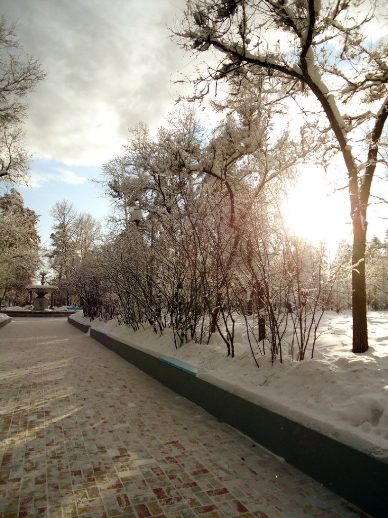 единственные активные прогульщики в парке - белки:) но руки замерзали: можно было либо их кормить, либо фотографировать; и я выбрала первое!..