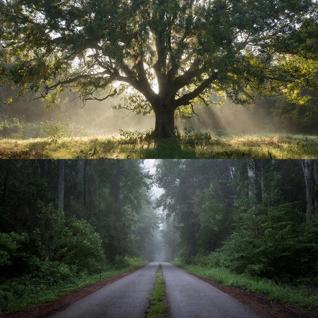 Реальность многовариантна. Ваша задача — выбрать свою ветку. Фото сгенерировано ИИ.