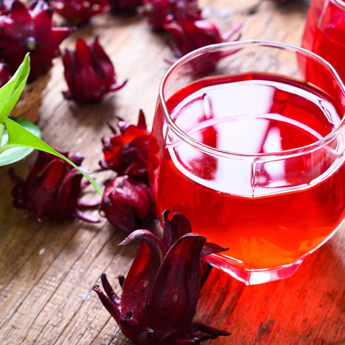 Hibiskustee. Фото: Mein schöner Garten