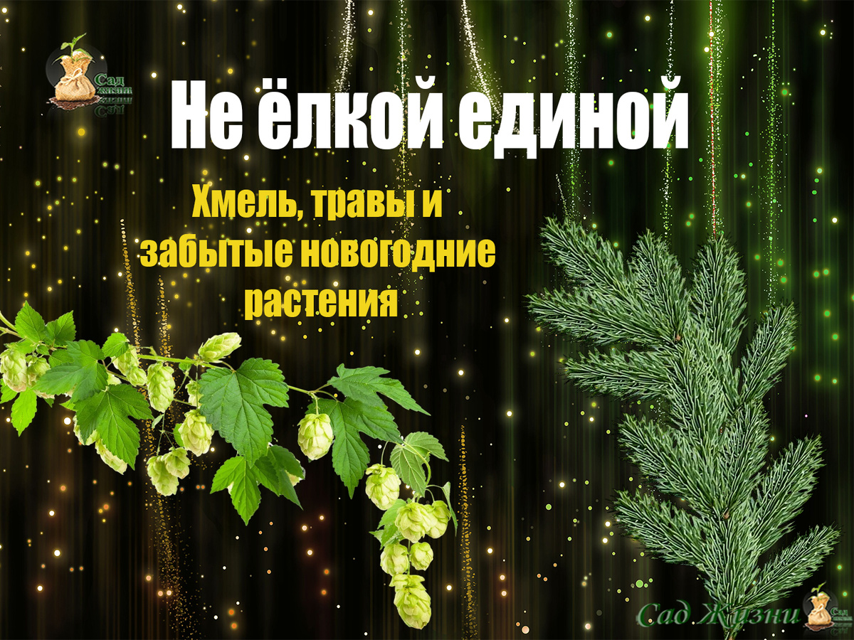 Не ёлкой единой: чем наши предки украшали праздник