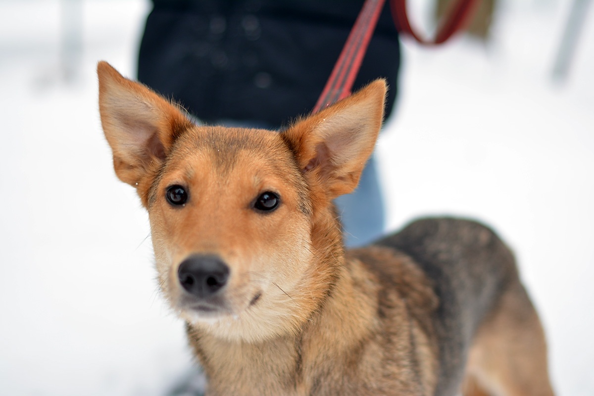 Первые фото во временном доме