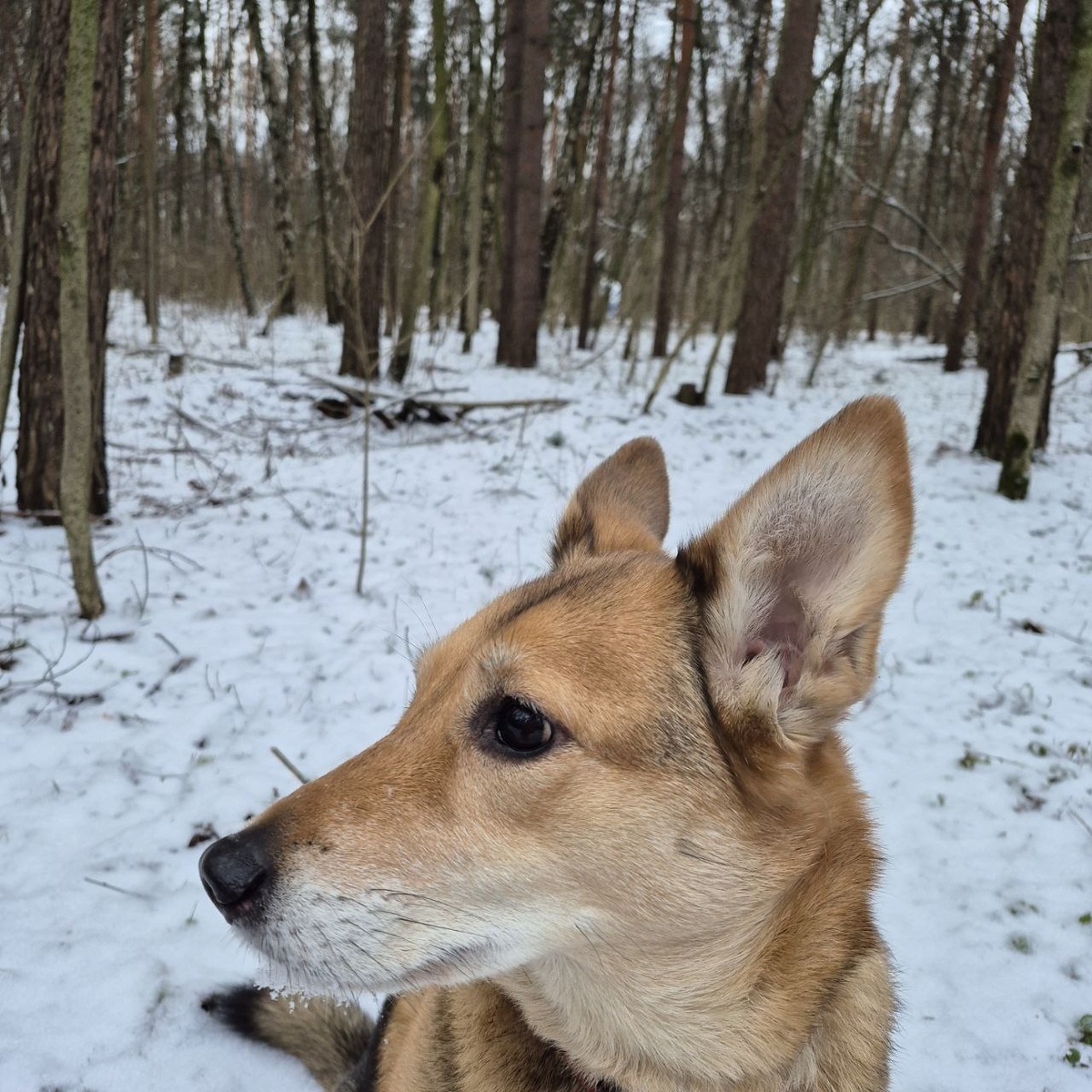 Рассказывай!