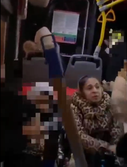 Толпаа цыган ворвалась в автобус и потребовала у всех уступить им место, но и этого им было мало