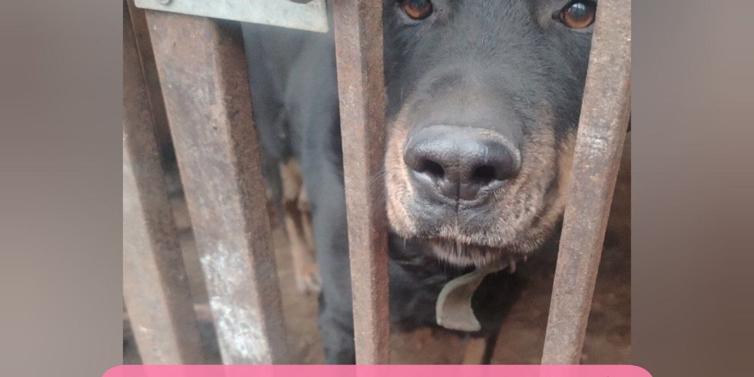 Сегодня в приюте вечер 💯