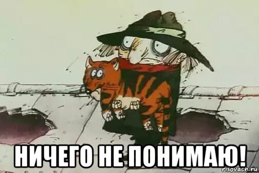 Фото из открытых источников интенета 