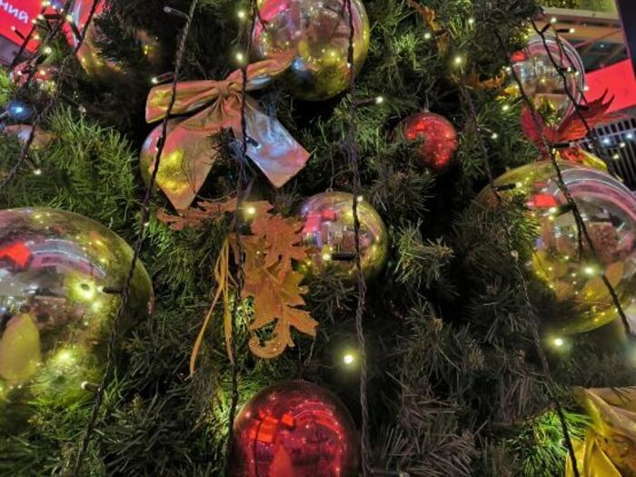 Иллюстрация: © «Панорама»