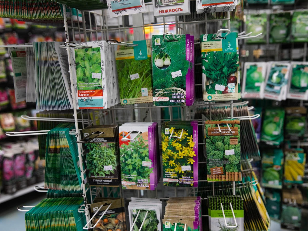 Фото: factornews.ru