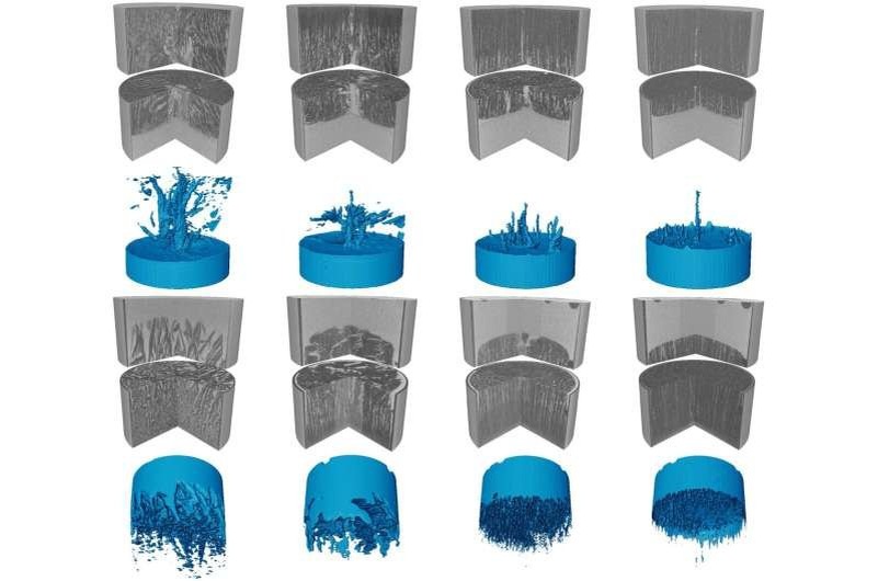    Экспериментальное замораживание соленой воды