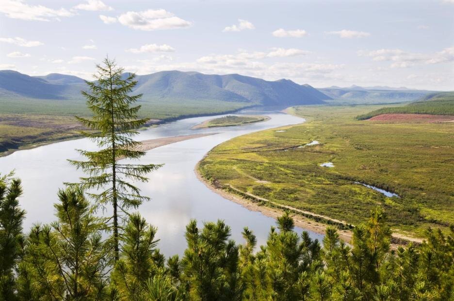 фото из архива интернета