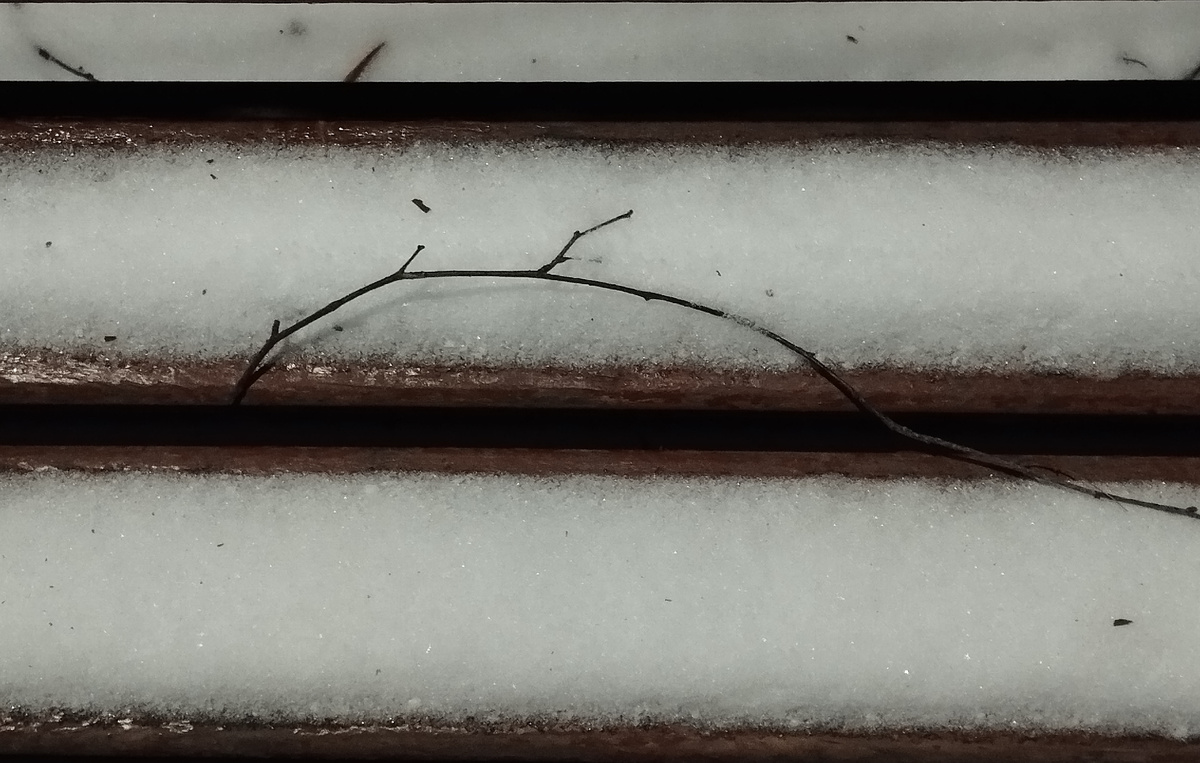 Кусочек скамейки в нашем дворе. Фото автора.