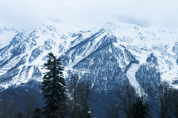    Фото: пресс-служба администрации города Сочи