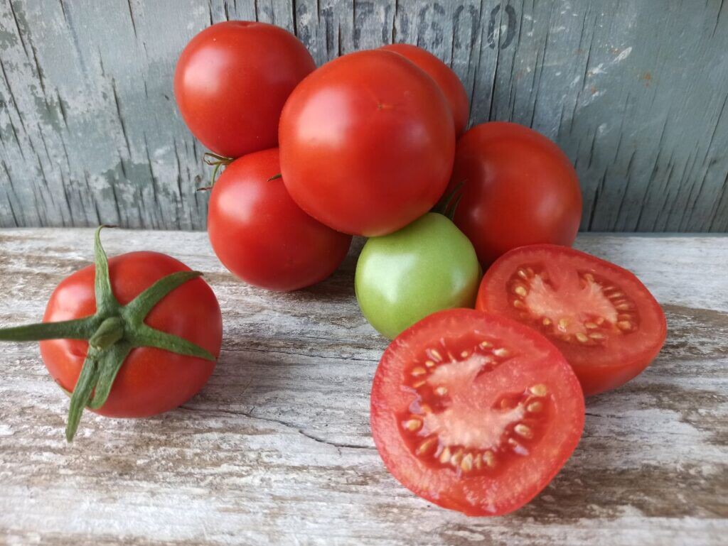 Томат Манимейкер (Делающий деньги). Фото: Алексей Володихин