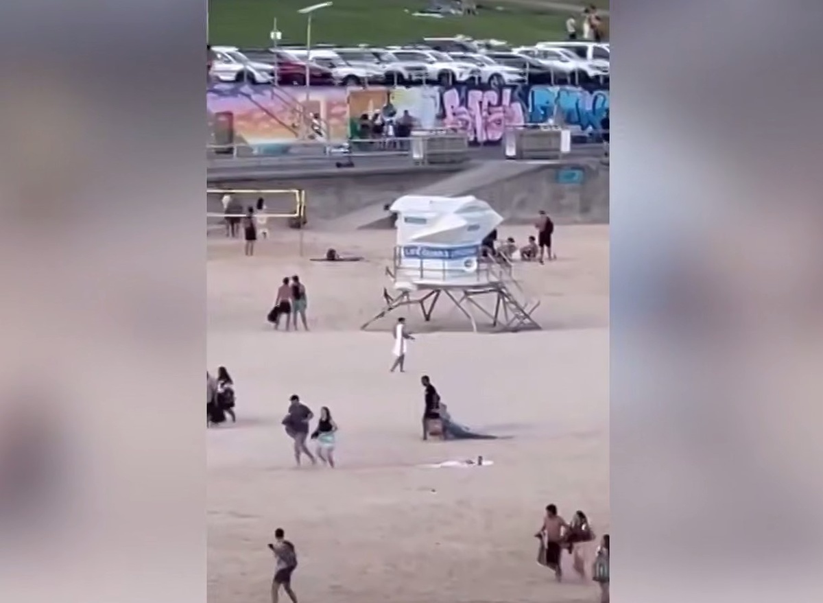    Стрельба на пляже Бондай в Сиднее: погибли не менее 10 человек, среди жертв — дети