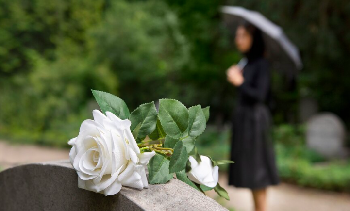 Фото: Фрипик