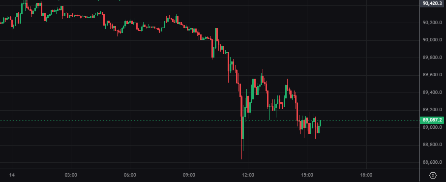 Актуальный курс 