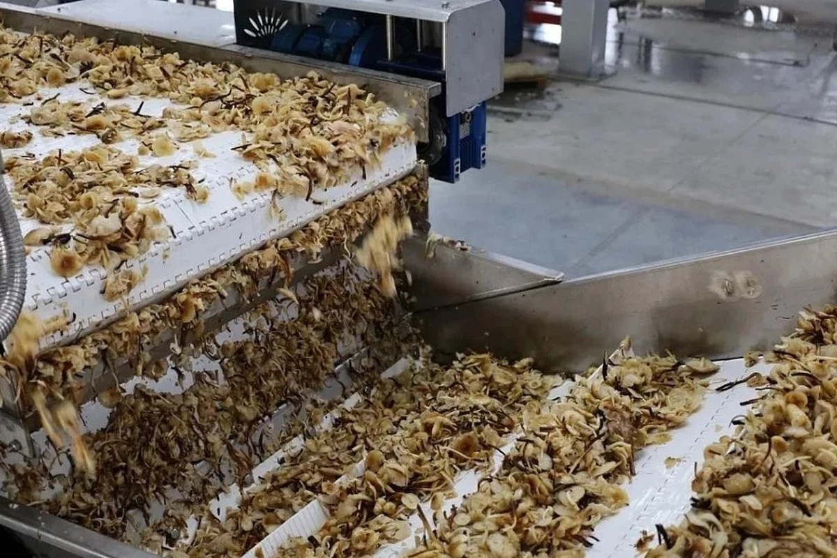    Фото: пресс-служба администрации Краснодарского края; источник: admkrai.krasnodar.ru