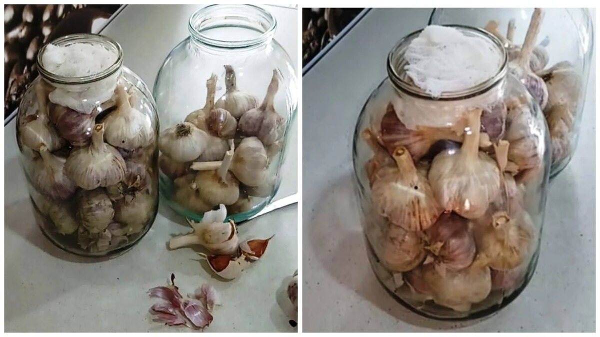 Метод 2: Стеклянная банка с марлей