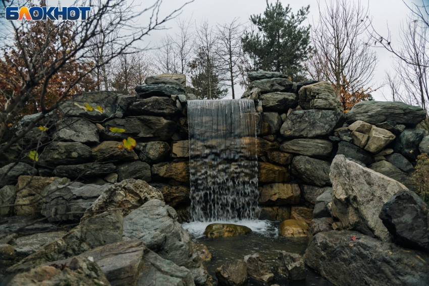 Фото: «Блокнот Краснодар"