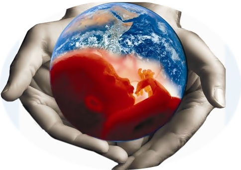 Картинка из интернета