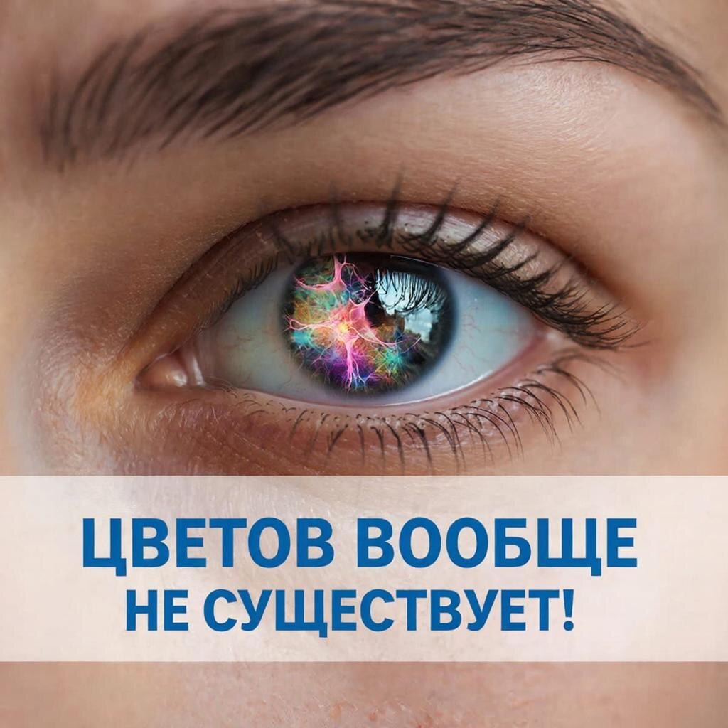 Цветов не существует! Цвет — это не свойство предметов, а галлюцинация вашего мозга.