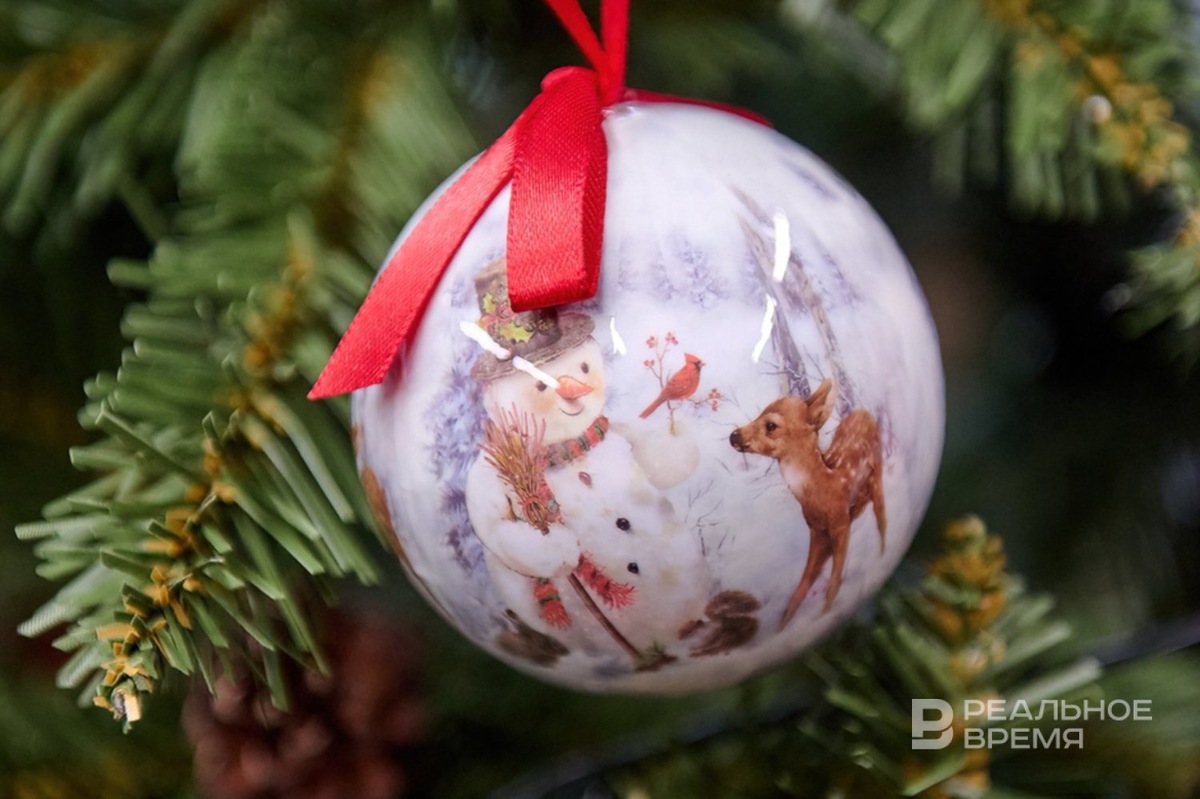   Динар Фатыхов / realnoevremya.ru