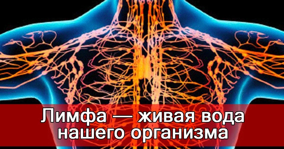 ОТЁКИ, ТЯЖЕСТЬ, ЦЕЛЛЮЛИТ — ЭТО НЕ ПРО ВЕС —  ЭТО ПРО ЛИМФУ