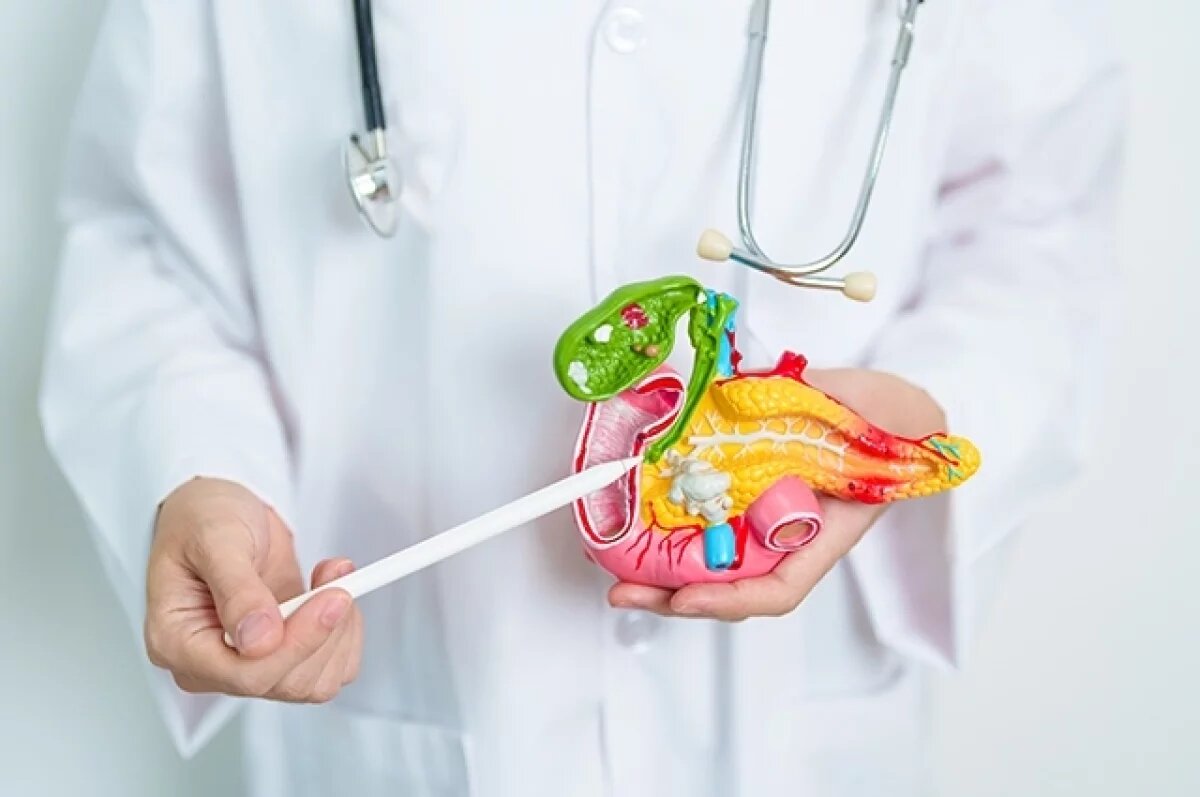    Small: белок коллаген может мешать лечению рака поджелудочной железы