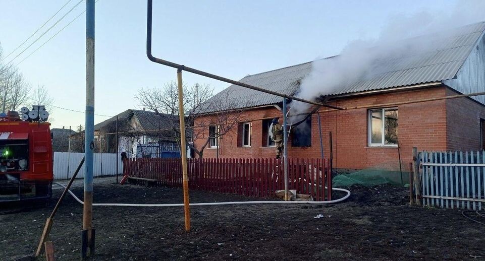    Губернатор Белгородской области Вячеслав Гладков / Telegram