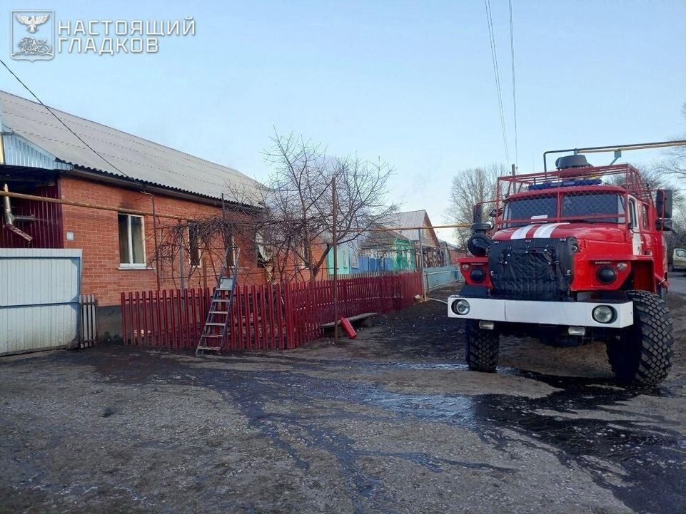    Губернатор Белгородской области Вячеслав Гладков / Telegram