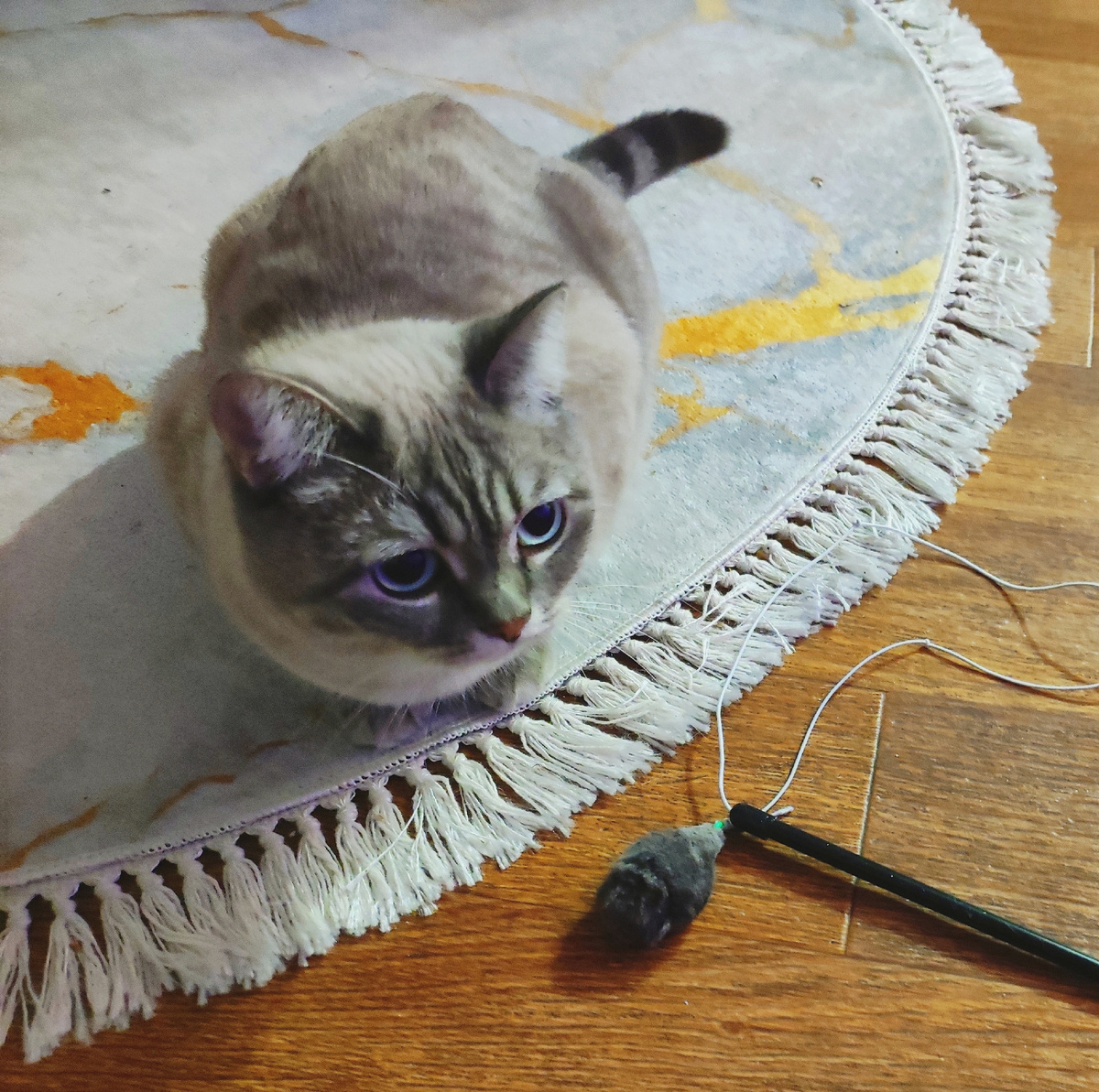 Фото автора 