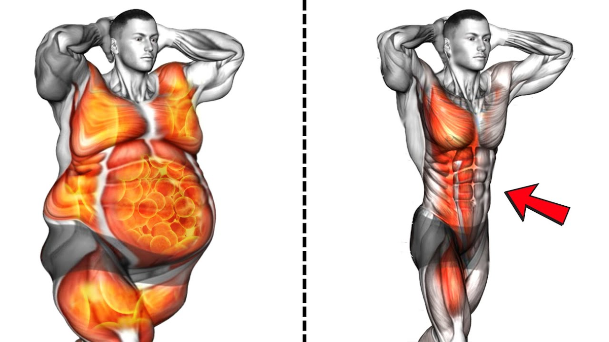 Источник:Workout In Motion 