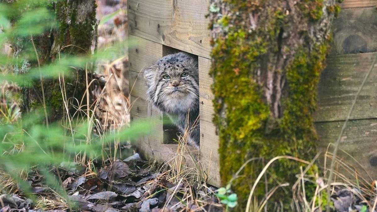    Фото: Пресс-служба Департамента культуры города Москвы