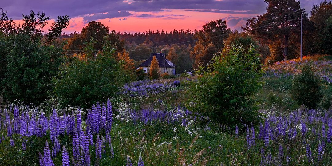 Простое счастье деревенской жизни