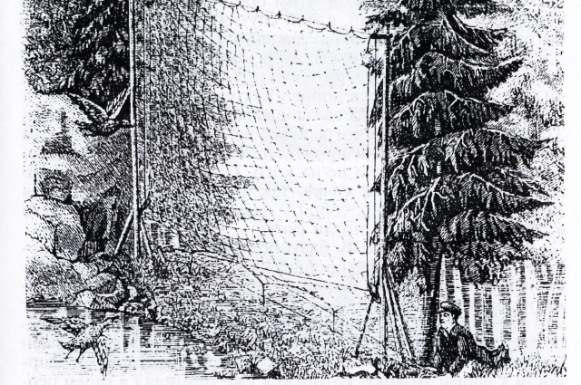 Финш О., Брэм А. Путешествие в Западную Сибирь. 1882г.