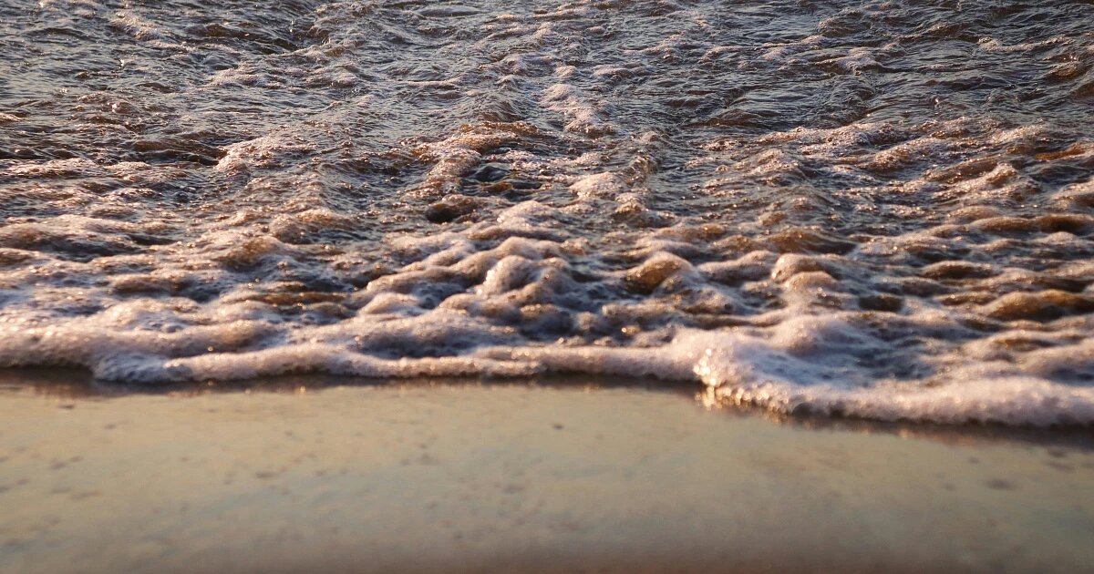 Фото: Zhuo Cheng you / Unsplash