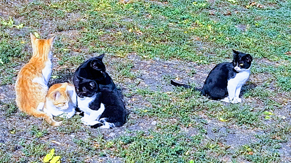 Фото автора.