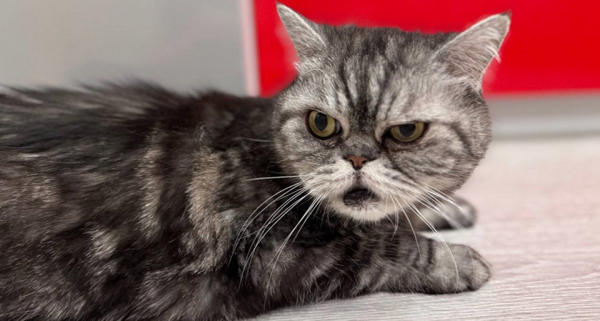    Фото Анастасии Дмитриевой