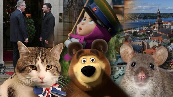    © Фото : коллаж Украина.Ру