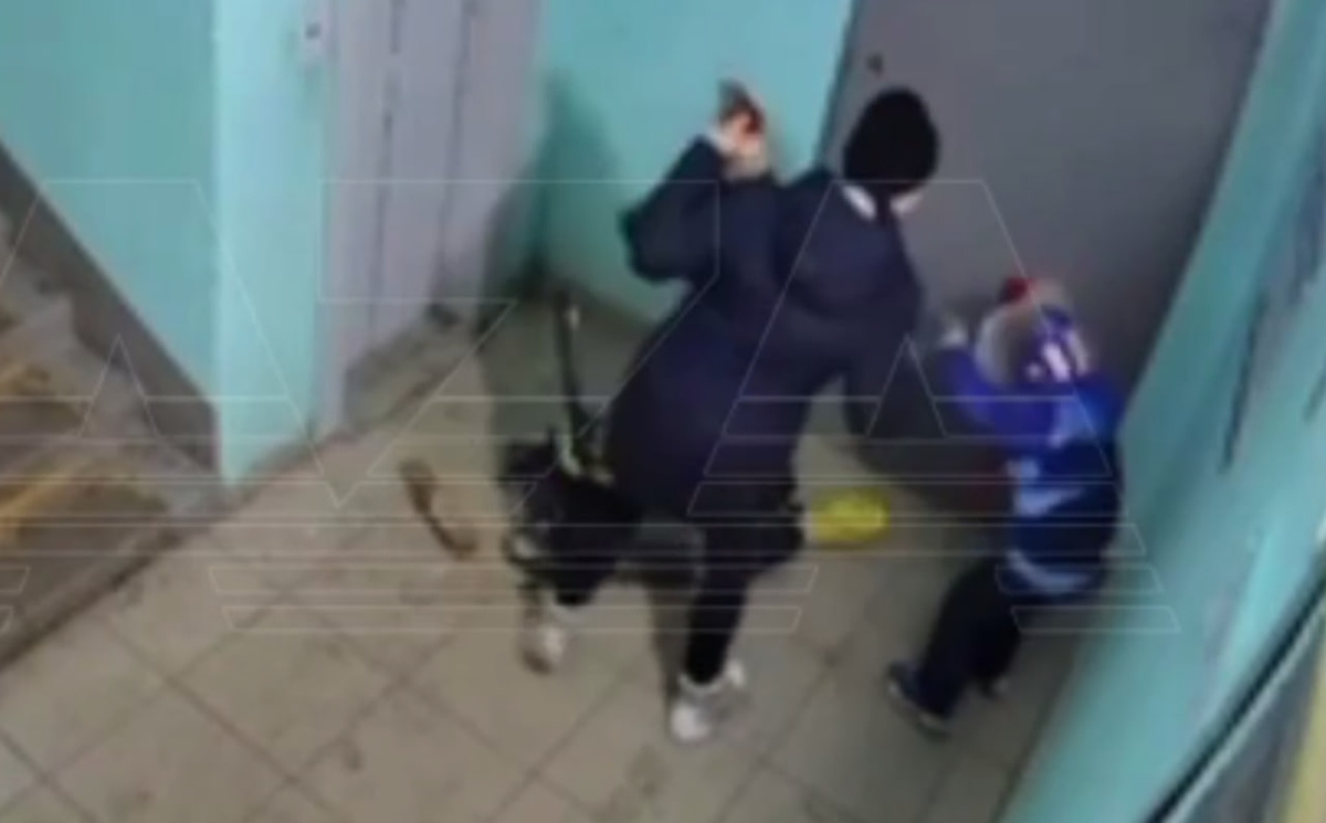     Telegram-канал Baza.