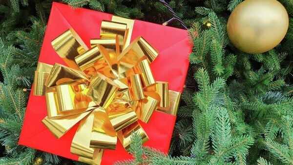    © Telegram-канал главы администрации Ялты Янины Павленко