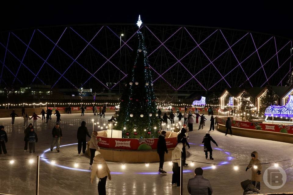    Фото: Дмитрий Рогулин / "Городские вести"