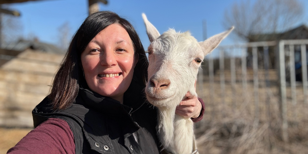 Беременная коза: как не навредить и избежать кошмара после родов