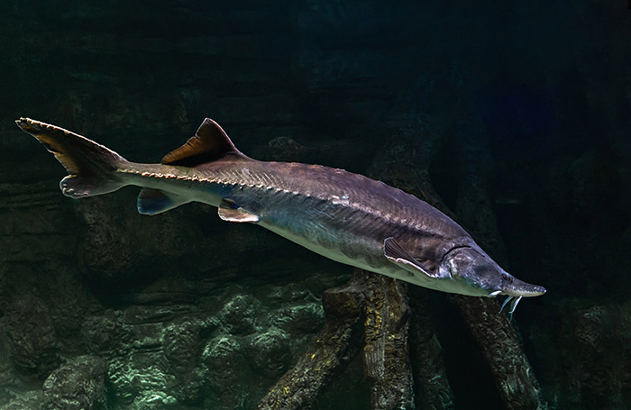    Сергей Чайко/Фотобанк Лори