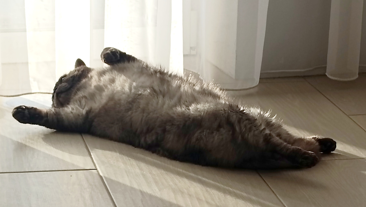 Бока отлëживали🤣🤣