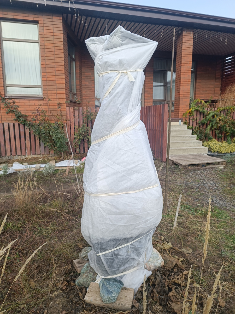 Вот, думаю, обматывать в этом году гирляндой или лучше не пугать народ, мимо проходящий😂😂😂