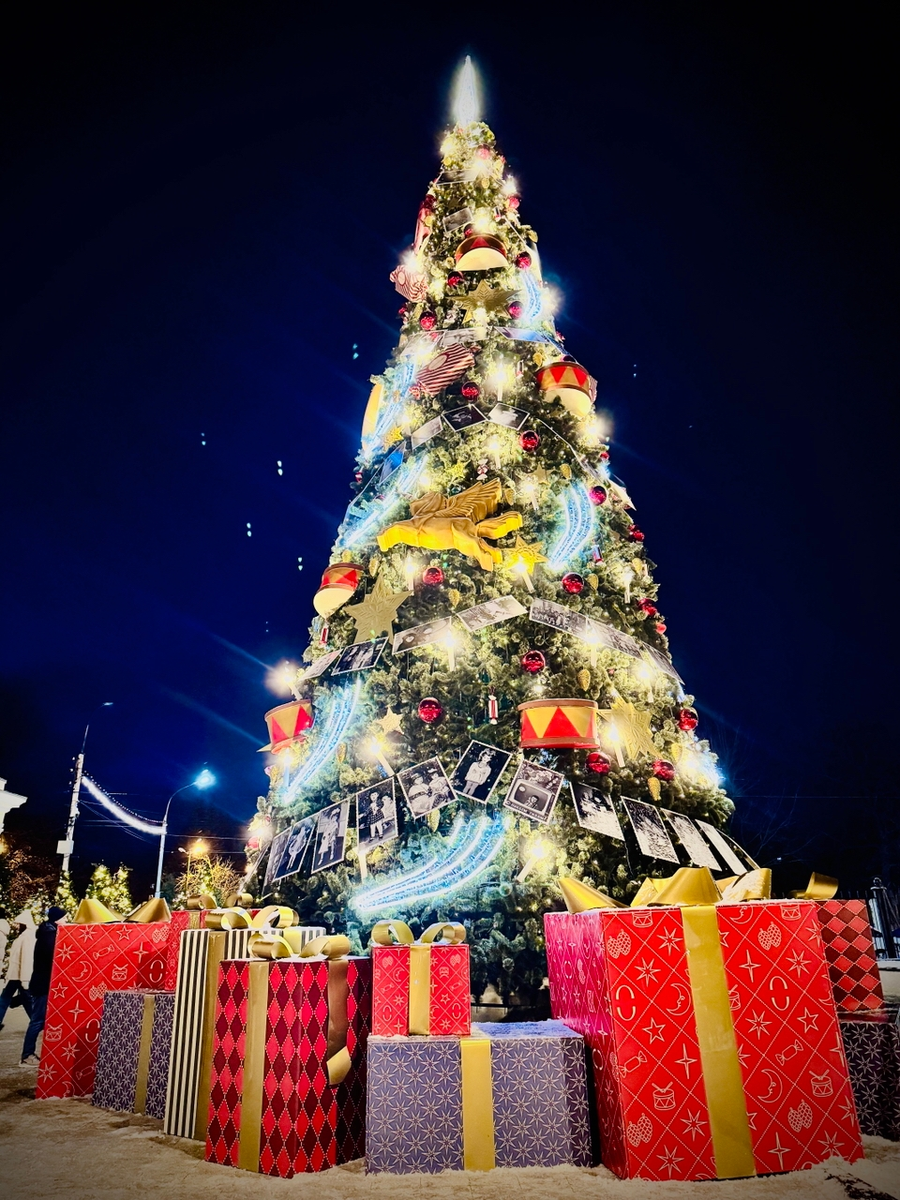 Новогодняя елка на Рязанской ВДНХ