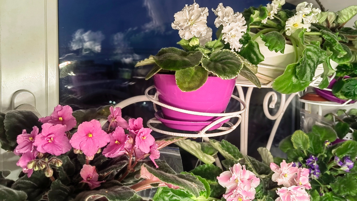 Неидеально, но пёстренько. Фото автора