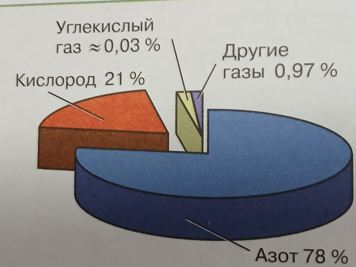Фото автора статьи картинки из школьного учебника.