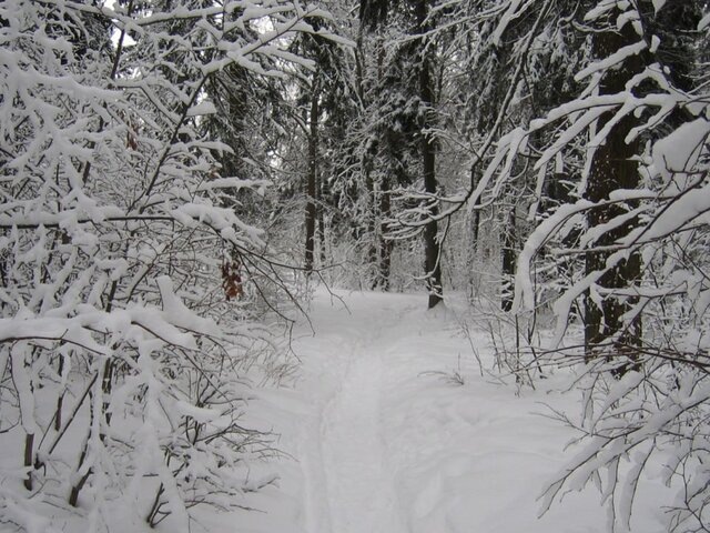    Фото: Москва 24/Александр Горностаев