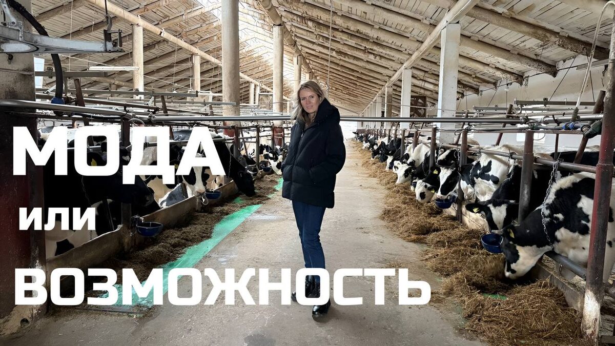 Мой ВК: shikinaekaterina